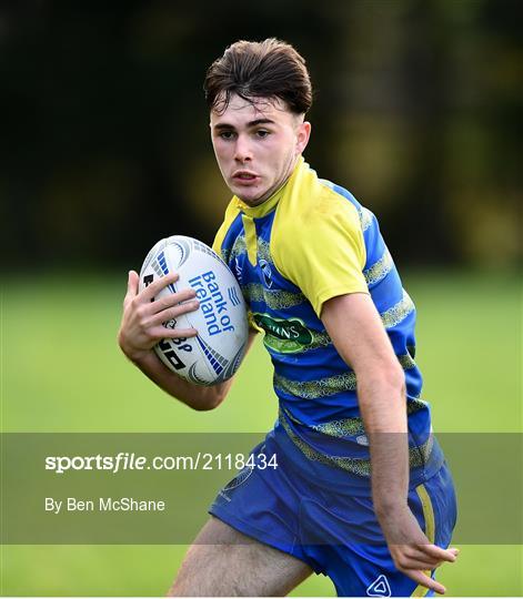 Leinster Rugby Division 3 Blitz