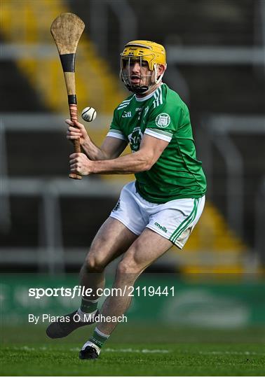 Kilmallock v Patrickswell - Limerick County Senior Club Hurling Championship Final