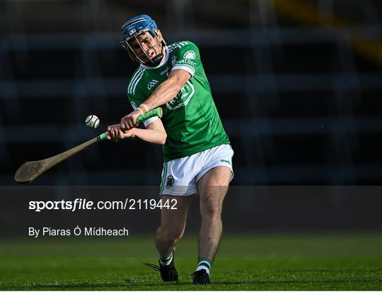 Kilmallock v Patrickswell - Limerick County Senior Club Hurling Championship Final