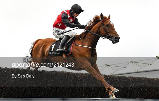 Punchestown Winter Festival - Day One