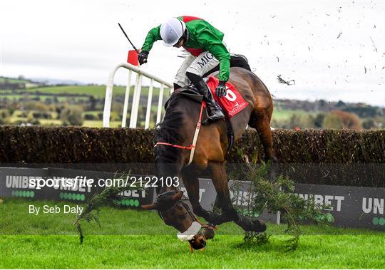 Punchestown Winter Festival - Day Two