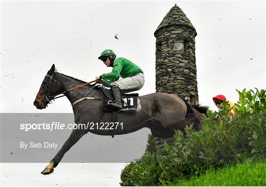 Punchestown Winter Festival - Day Two
