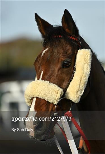 Horse Racing from Thurles