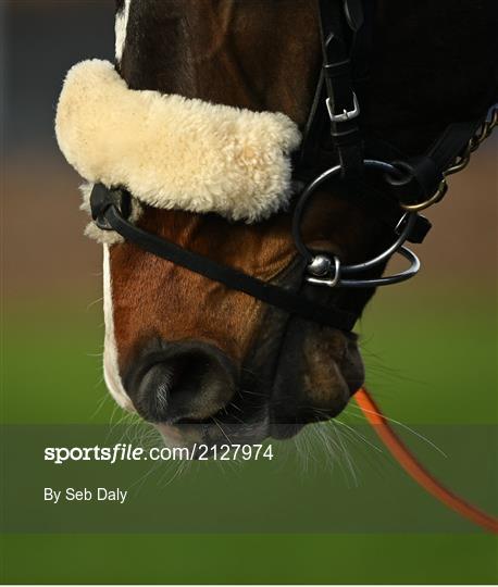 Horse Racing from Thurles