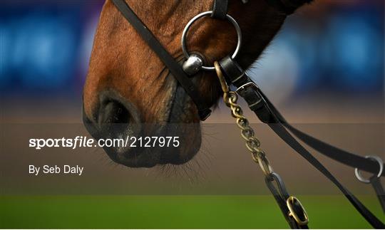 Horse Racing from Thurles Horse Racing from Thurles