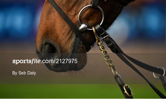 Horse Racing from Thurles