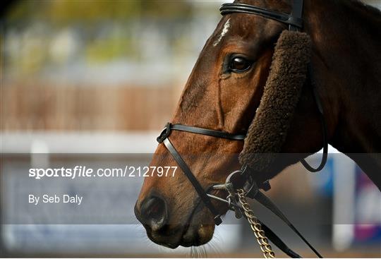 Horse Racing from Thurles