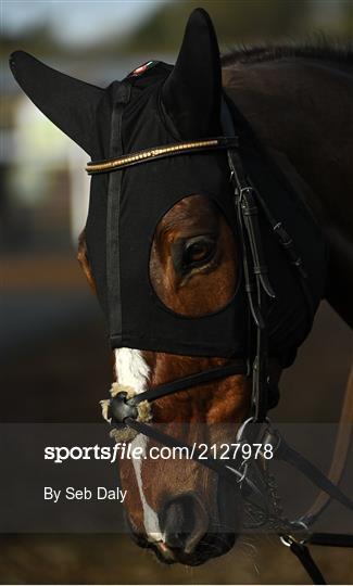 Horse Racing from Thurles