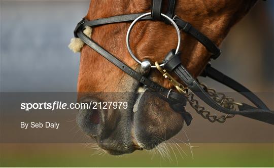 Horse Racing from Thurles