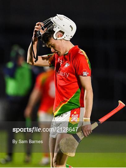 Clough-Ballacolla v Rapparees - AIB Leinster GAA Hurling Senior Club Championship Quarter-Final