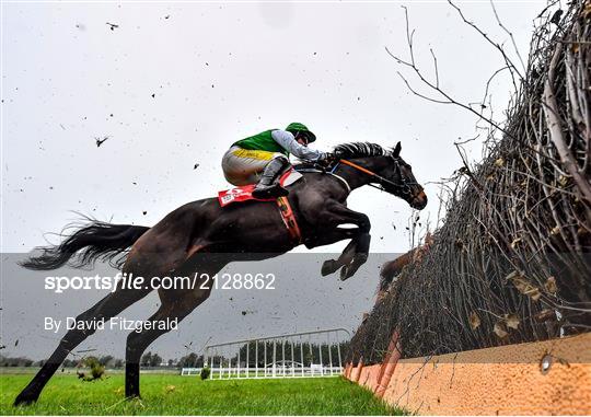 Fairyhouse Winter Festival - Day Two