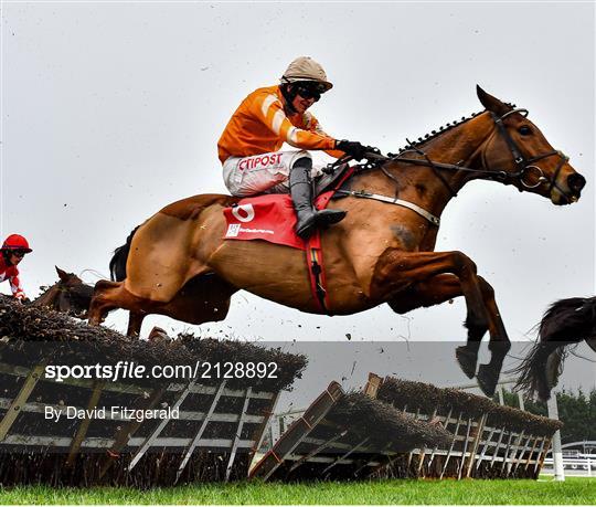 Fairyhouse Winter Festival - Day Two