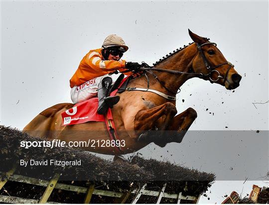 Fairyhouse Winter Festival - Day Two