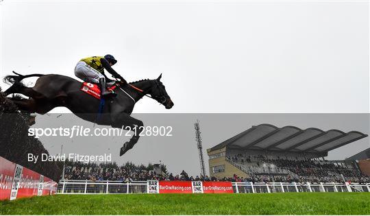 Fairyhouse Winter Festival - Day Two