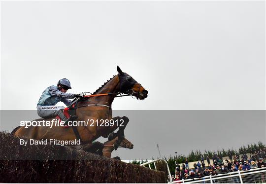 Fairyhouse Winter Festival - Day Two