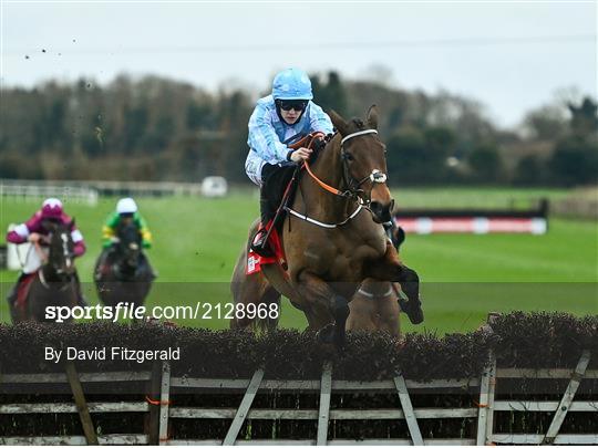 Fairyhouse Winter Festival - Day Two