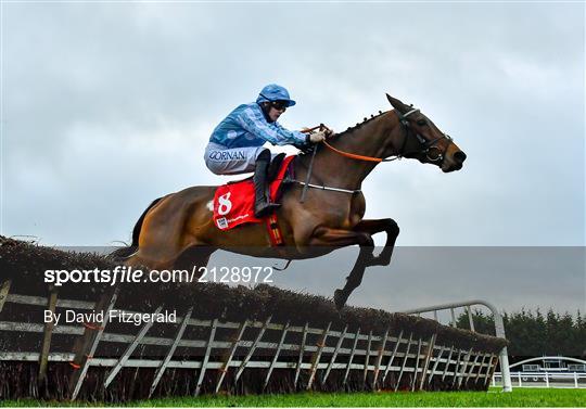 Fairyhouse Winter Festival - Day Two