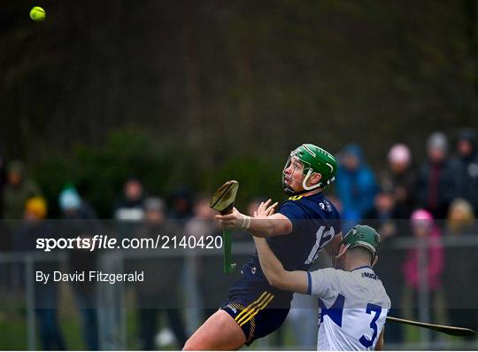 Laois v Wexford - Walsh Cup Senior Hurling Round 1