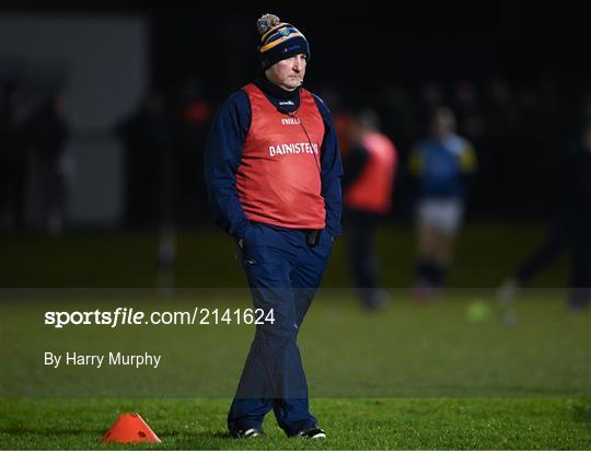 Wicklow v Wexford - O'Byrne Cup Group B