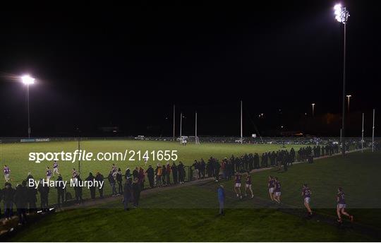 Wicklow v Wexford - O'Byrne Cup Group B