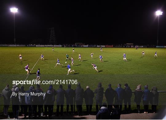 Wicklow v Wexford - O'Byrne Cup Group B