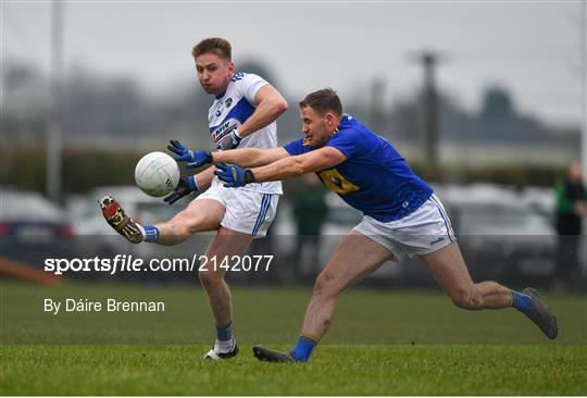 Laois v Wicklow - O'Byrne Cup Group B