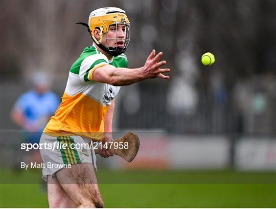 Offaly v Dublin - Walsh Cup Group A