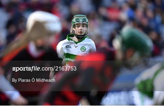 Ballygunner v Shamrocks - AIB GAA Hurling All-Ireland Senior Club Championship Final Ballygunner v Shamrocks - AIB GAA Hurling All-Ireland Senior Club Championship Final