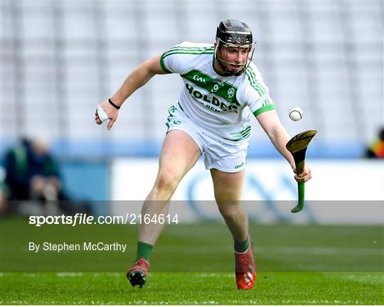 Ballygunner v Shamrocks - AIB GAA Hurling All-Ireland Senior Club Championship Final