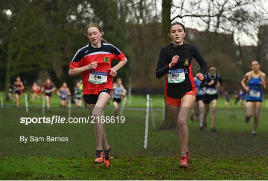Irish Life Health Leinster Schools Cross Country Championships