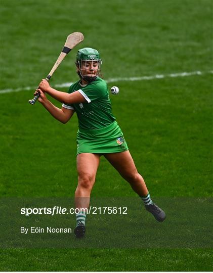 Cork v Limerick - Littlewoods Ireland Camogie League Division 1 Round 2