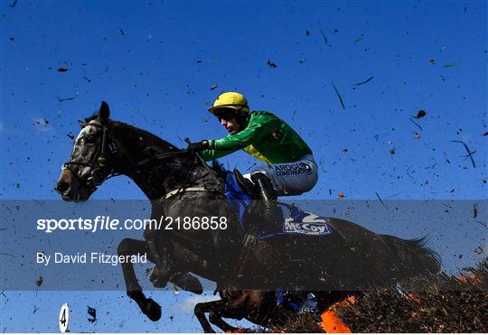 Cheltenham Racing Festival - Gold Cup Day