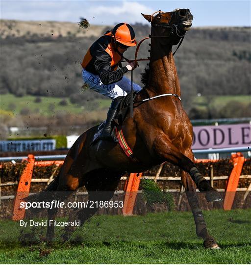 Cheltenham Racing Festival - Gold Cup Day