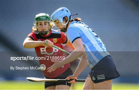 Dublin v Down - Littlewoods Ireland Camogie League Division 1
