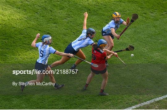 Dublin v Down - Littlewoods Ireland Camogie League Division 1