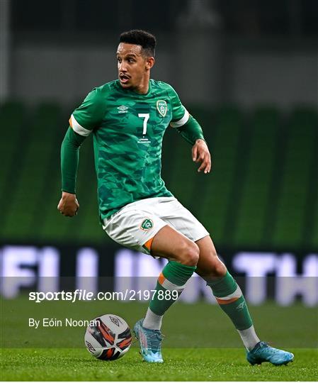 Republic of Ireland v Lithuania - International Friendly Republic of Ireland v Lithuania - International Friendly