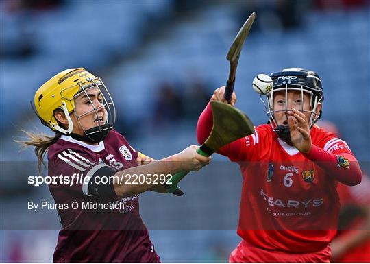 Cork v Galway - Littlewoods Ireland Camogie League Division 1 Final