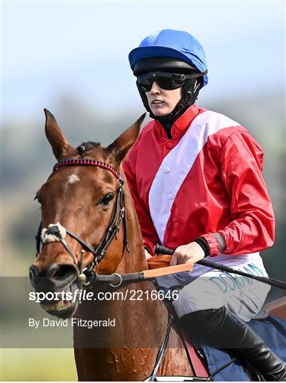 Punchestown Festival Champion Chase Day