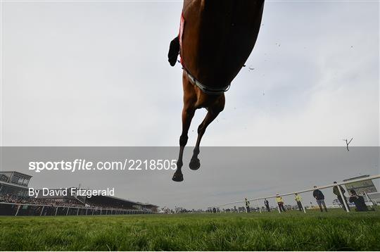 Punchestown Festival - Champion Hurdle Day