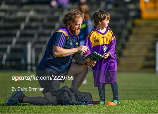 Westmeath v Wexford - Leinster GAA Hurling Senior Championship Round 4