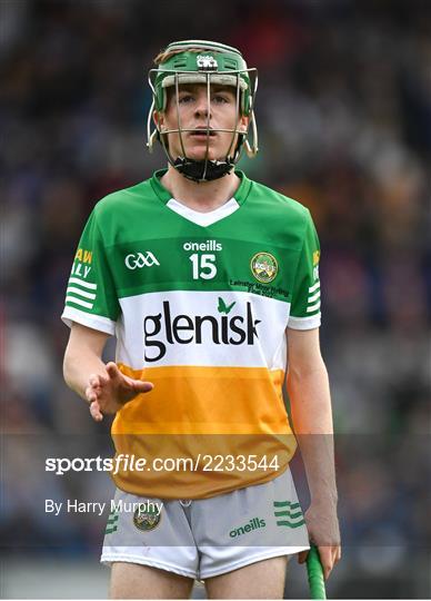 Laois v Offaly - Electric Ireland Leinster GAA Minor Hurling Championship Final Laois v Offaly - Electric Ireland Leinster GAA Minor Hurling Championship Final
