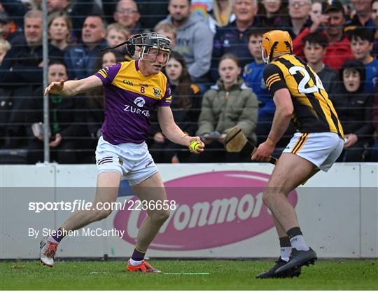 Kilkenny v Wexford - Leinster GAA Hurling Senior Championship Round 5 Kilkenny v Wexford - Leinster GAA Hurling Senior Championship Round 5