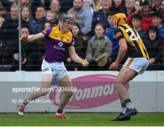 Kilkenny v Wexford - Leinster GAA Hurling Senior Championship Round 5