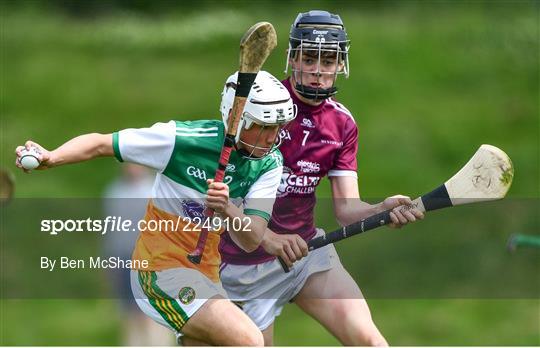Westmeath v Offaly - Electric Ireland Challenge Corn Jerome O'Leary Final