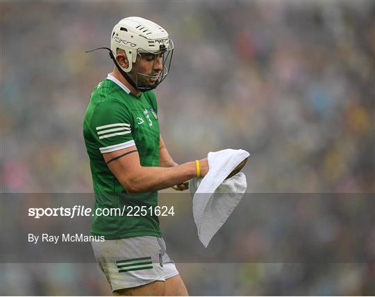 Limerick v Clare - Munster GAA Hurling Senior Championship Final