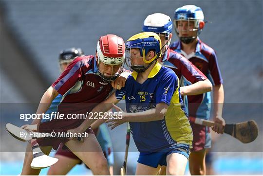 Allianz Cumann na mBunscoil Hurling Finals - Wednesday