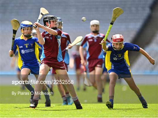 Allianz Cumann na mBunscoil Hurling Finals - Wednesday