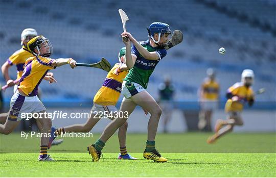 Allianz Cumann na mBunscoil Hurling Finals - Wednesday