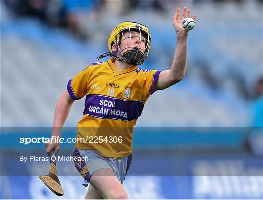 Allianz Cumann na mBunscoil Hurling Finals - Wednesday Allianz Cumann na mBunscoil Hurling Finals - Wednesday