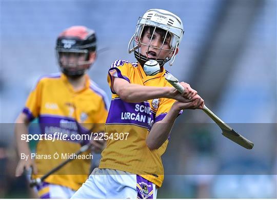 Allianz Cumann na mBunscoil Hurling Finals - Wednesday Allianz Cumann na mBunscoil Hurling Finals - Wednesday